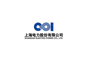 Shanghai Electric Power Co., Ltd